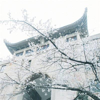 冒险王3d内购破解版下载