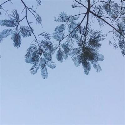 镇妖曲官方版下载